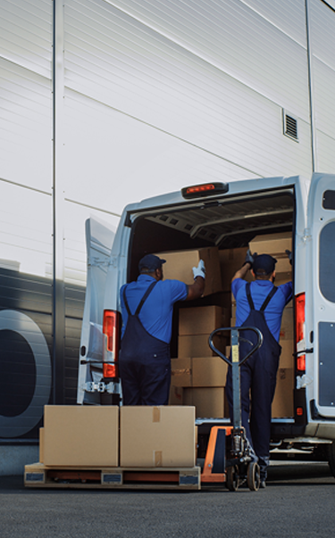 fujairah free zone business setup